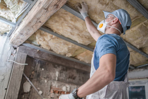 Professional Foam Insulation Services in Allendale, SC