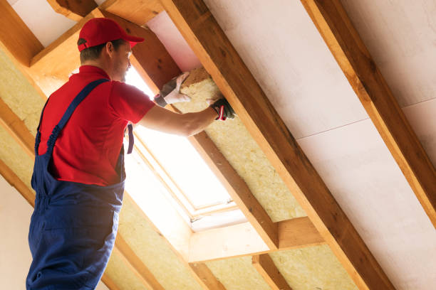 Types of Insulation We Offer in Allendale, SC